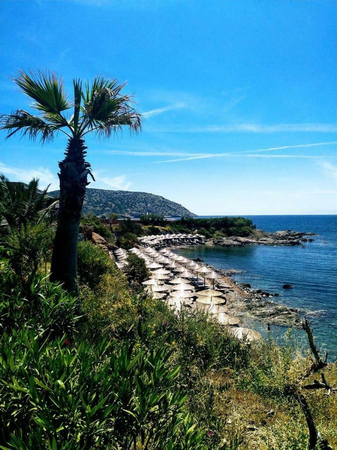 Seaview * Anavyssos